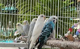 B-5 Aprt. Tipo villa sonidos de las aves.